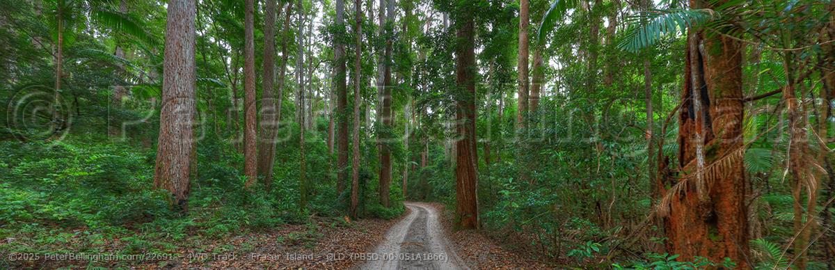 Peter Bellingham Photography 4WD Track - Fraser Island - QLD (PB5D 00 051A1866)